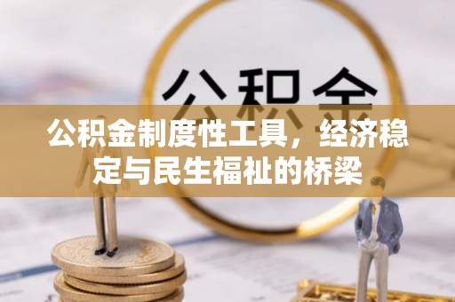 阜平公积金制度性工具，经济稳定与民生福祉的桥梁