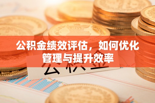 阜平公积金绩效评估，如何优化管理与提升效率