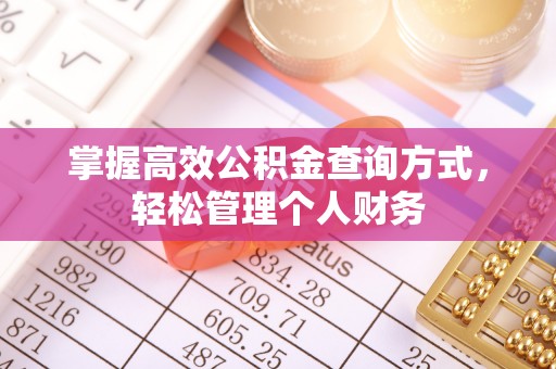 阜平掌握高效公积金查询方式，轻松管理个人财务
