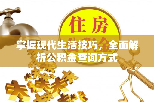 阜平掌握现代生活技巧，全面解析公积金查询方式