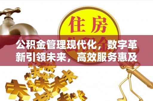 阜平公积金管理现代化，数字革新引领未来，高效服务惠及民生
