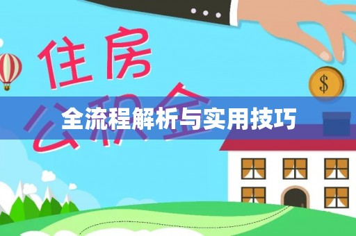 阜平全流程解析与实用技巧