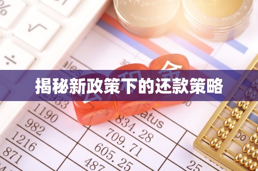 阜平揭秘新政策下的还款策略