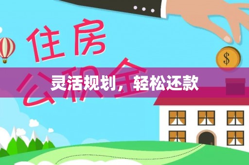 阜平灵活规划，轻松还款
