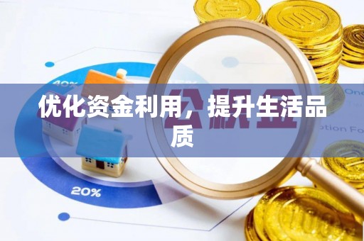 阜平优化资金利用，提升生活品质
