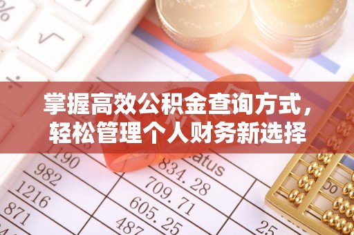 阜平掌握高效公积金查询方式，轻松管理个人财务新选择