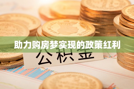 阜平助力购房梦实现的政策红利
