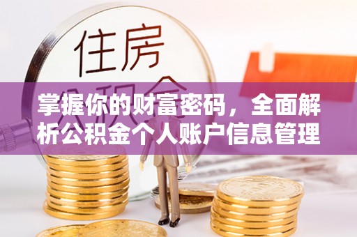 阜平掌握你的财富密码，全面解析公积金个人账户信息管理与优化