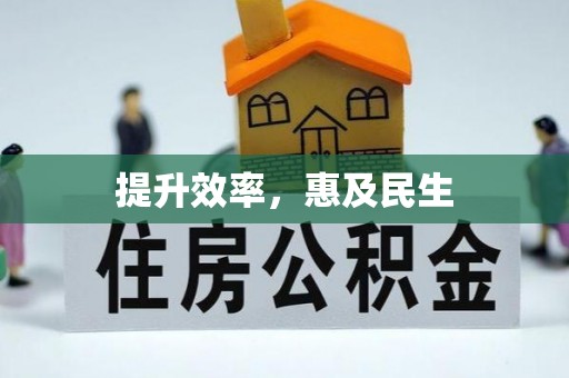 阜平提升效率，惠及民生