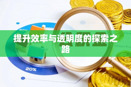 阜平提升效率与透明度的探索之路