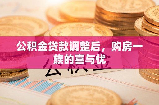 阜平公积金贷款调整后，购房一族的喜与忧