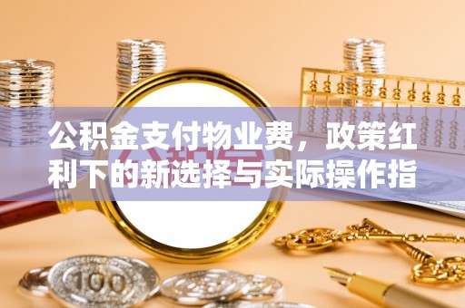 阜平公积金支付物业费，政策红利下的新选择与实际操作指南