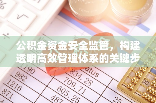 阜平公积金资金安全监管，构建透明高效管理体系的关键步骤