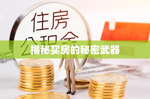 阜平揭秘买房的秘密武器