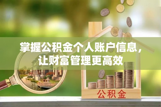 阜平掌握公积金个人账户信息，让财富管理更高效