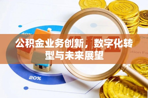 阜平公积金业务创新，数字化转型与未来展望