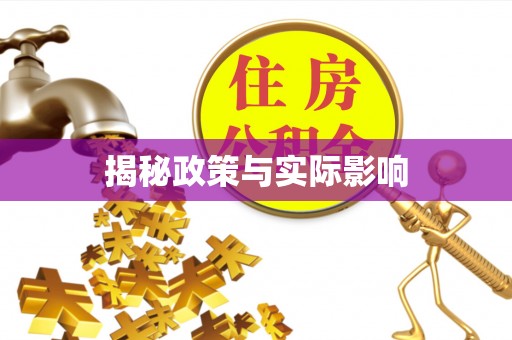 阜平揭秘政策与实际影响