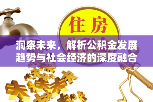 阜平洞察未来，解析公积金发展趋势与社会经济的深度融合
