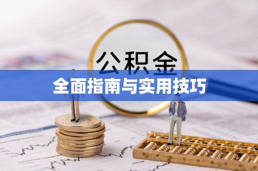 阜平全面指南与实用技巧