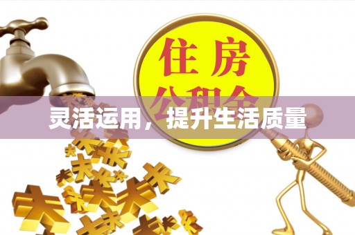 阜平灵活运用，提升生活质量