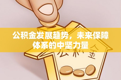 阜平公积金发展趋势，未来保障体系的中坚力量
