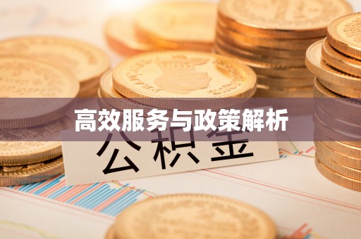 阜平高效服务与政策解析