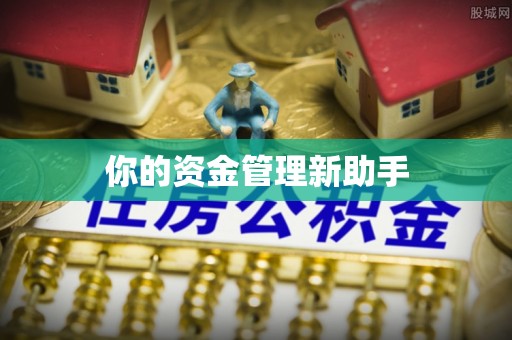 阜平你的资金管理新助手