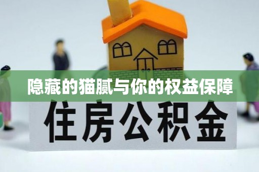 阜平隐藏的猫腻与你的权益保障