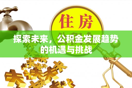 阜平探索未来，公积金发展趋势的机遇与挑战