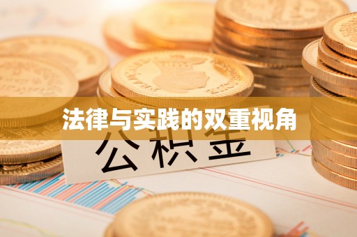 阜平法律与实践的双重视角