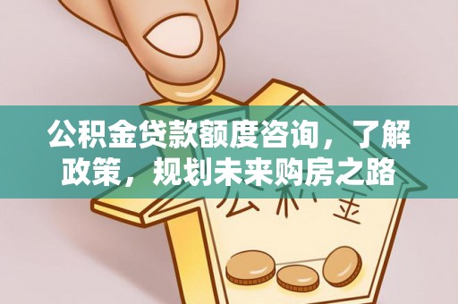 阜平公积金贷款额度咨询，了解政策，规划未来购房之路
