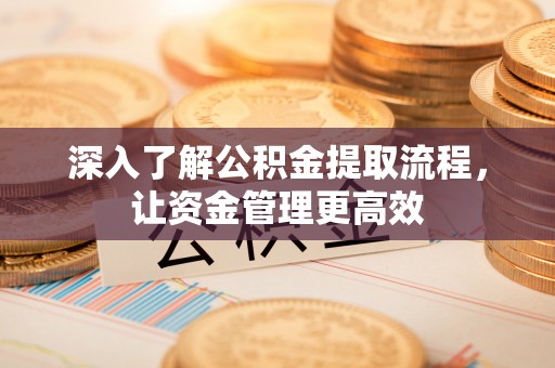 阜平深入了解公积金提取流程，让资金管理更高效