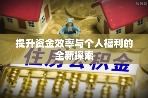阜平提升资金效率与个人福利的全新探索