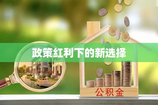 阜平政策红利下的新选择