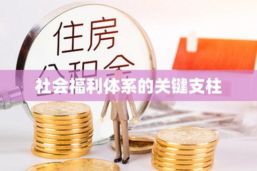 阜平社会福利体系的关键支柱