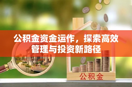 阜平公积金资金运作，探索高效管理与投资新路径