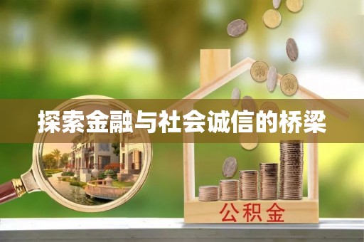 阜平探索金融与社会诚信的桥梁