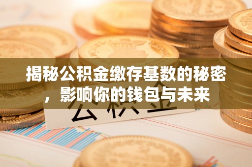 阜平揭秘公积金缴存基数的秘密，影响你的钱包与未来