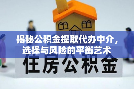 阜平揭秘公积金提取代办中介，选择与风险的平衡艺术