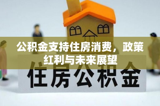 阜平公积金支持住房消费，政策红利与未来展望