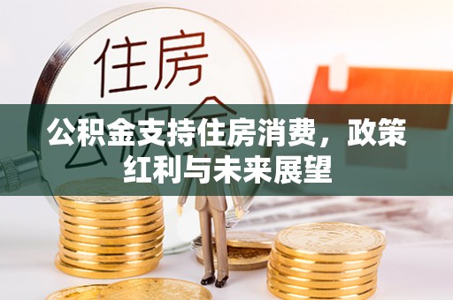 阜平公积金支持住房消费，政策红利与未来展望