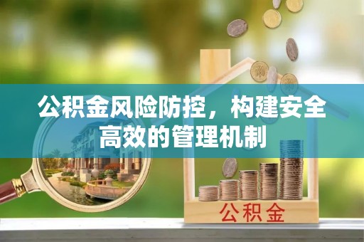 阜平公积金风险防控，构建安全高效的管理机制